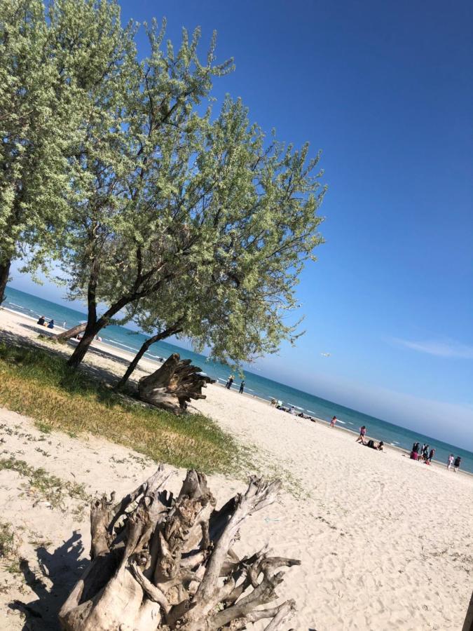 North Spa&Pools Alezzibeach Năvodari Kültér fotó